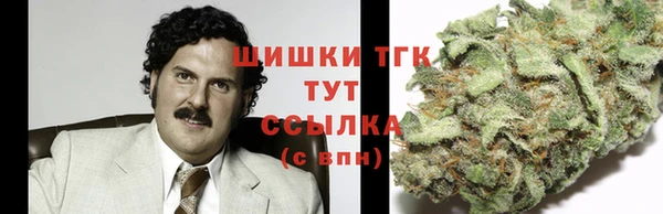 дурь Алексеевка