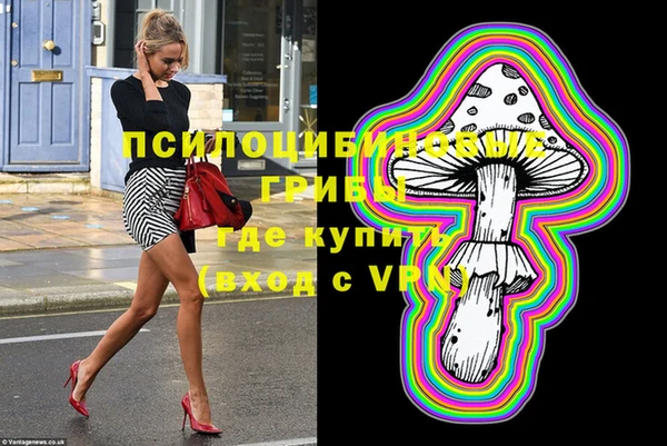 дурь Алексеевка