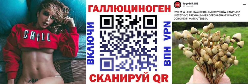 где можно купить наркотик  Закаменск  Псилоцибиновые грибы Magic Shrooms 